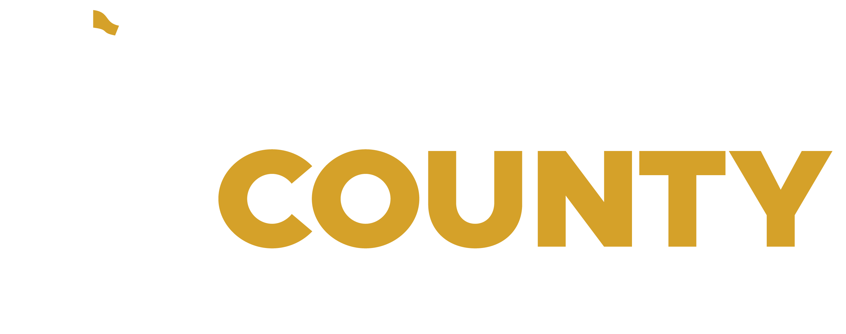 ICC Logo