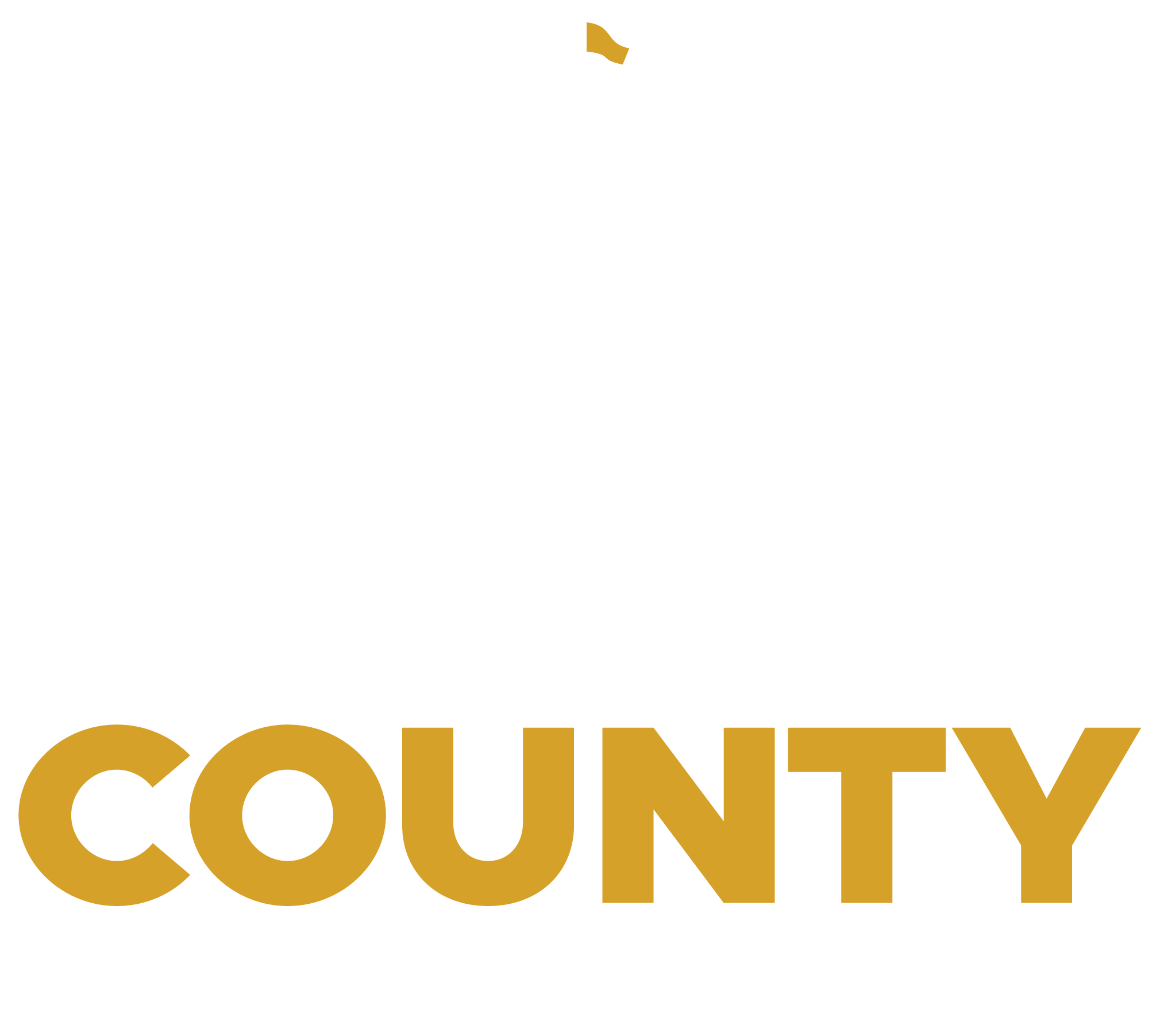 ICC logo